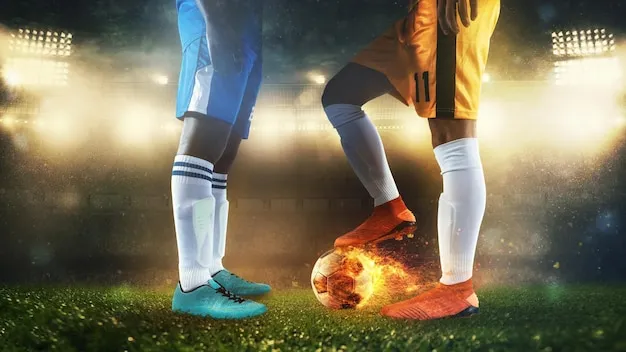 用户在手机上使用天博体育APP